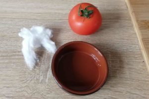 tomates, activité confinée